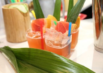 תצוגת כנס גינון