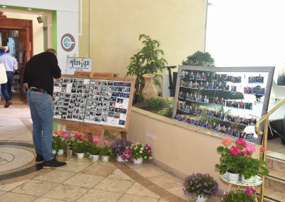 תצוגת כנס גינון